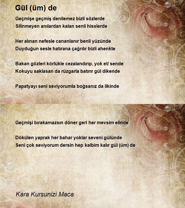 Kara Kursunizi Maca