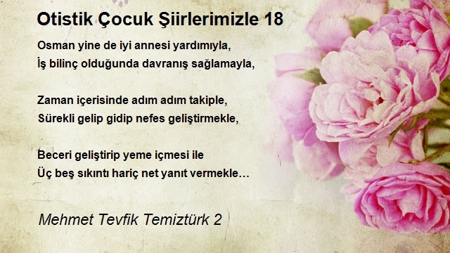 Mehmet Tevfik Temiztürk 2