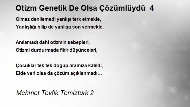 Mehmet Tevfik Temiztürk 2