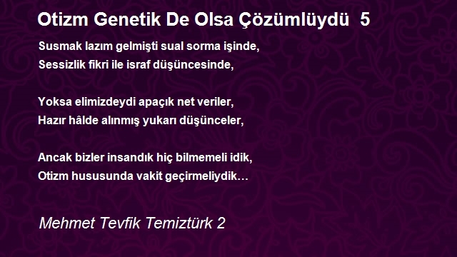 Mehmet Tevfik Temiztürk 2