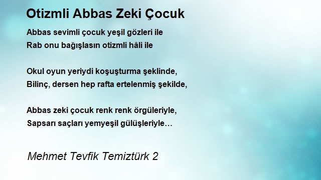 Mehmet Tevfik Temiztürk 2