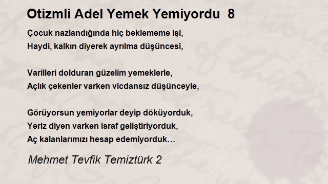 Mehmet Tevfik Temiztürk 2