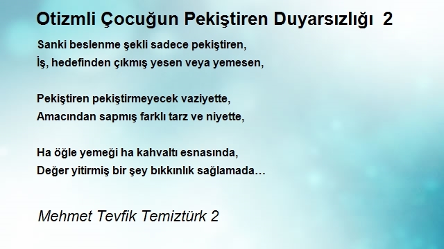 Mehmet Tevfik Temiztürk 2