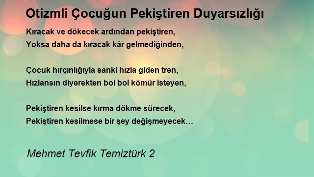 Mehmet Tevfik Temiztürk 2