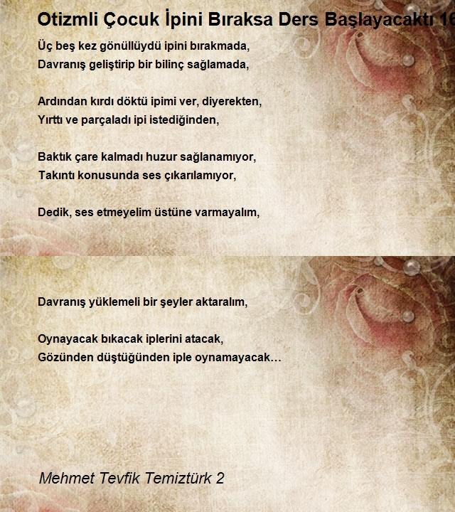 Mehmet Tevfik Temiztürk 2