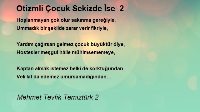 Mehmet Tevfik Temiztürk 2