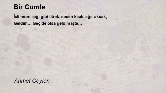 Ahmet Ceylan