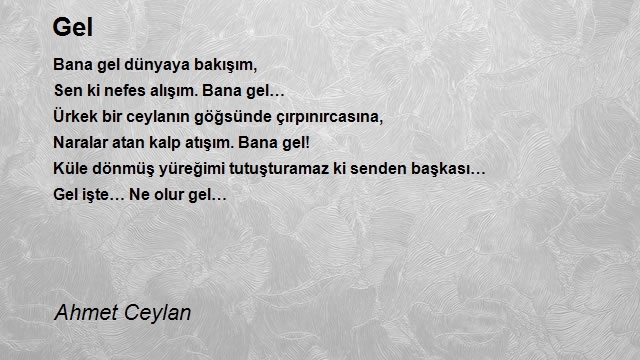 Ahmet Ceylan