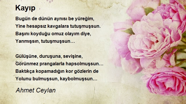 Ahmet Ceylan