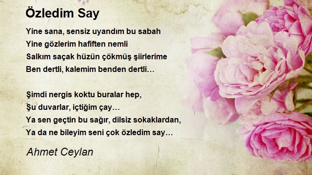 Ahmet Ceylan