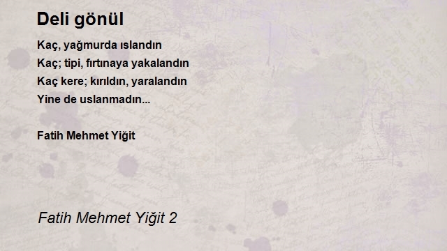 Fatih Mehmet Yiğit 2