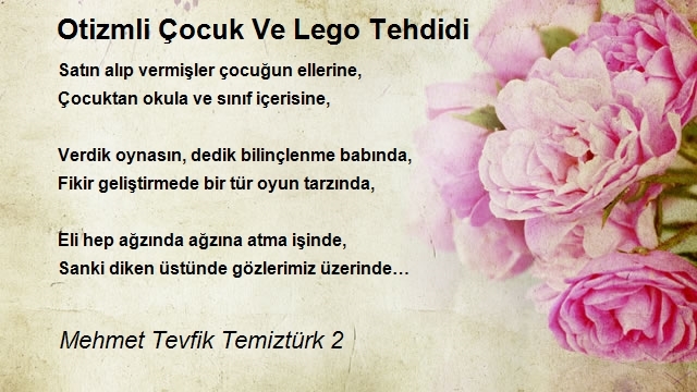 Mehmet Tevfik Temiztürk 2