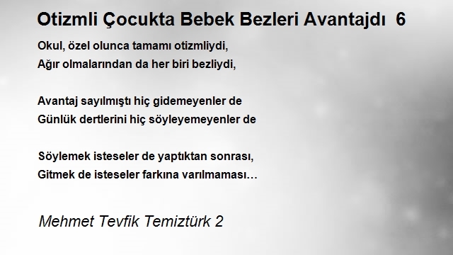 Mehmet Tevfik Temiztürk 2