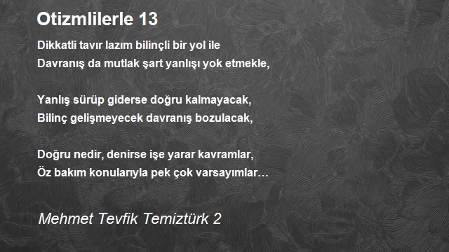 Mehmet Tevfik Temiztürk 2