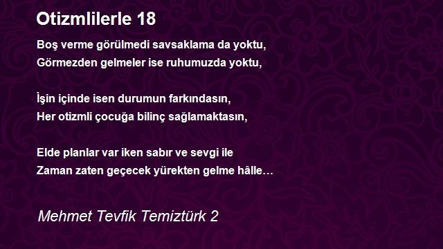 Mehmet Tevfik Temiztürk 2