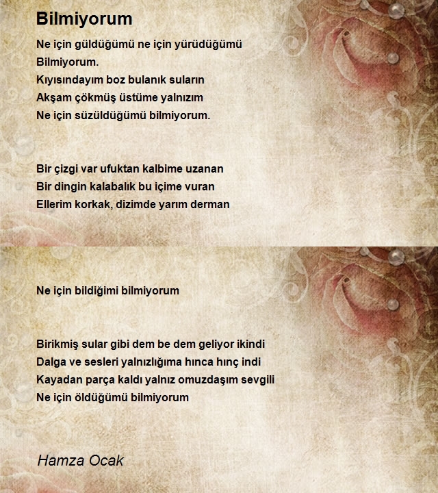 Hamza Ocak