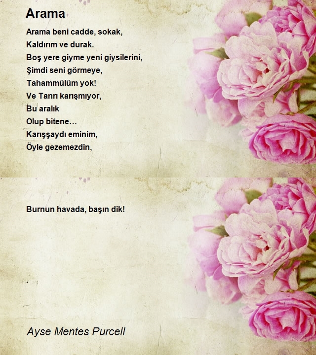 Ayse Mentes Purcell