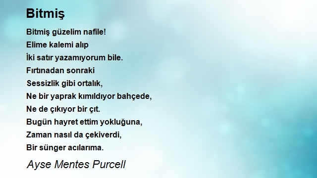 Ayse Mentes Purcell