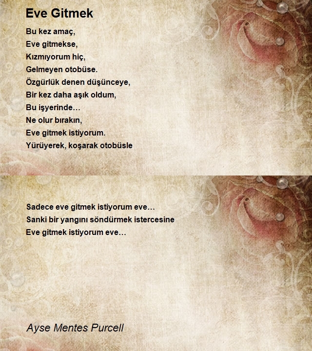 Ayse Mentes Purcell