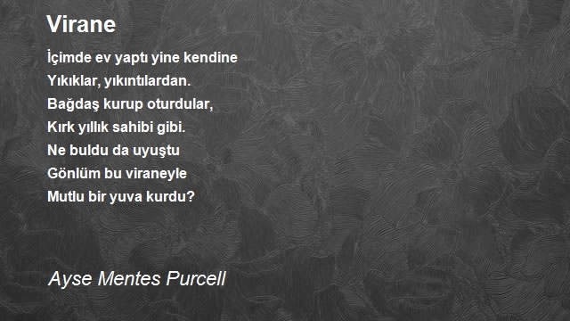 Ayse Mentes Purcell