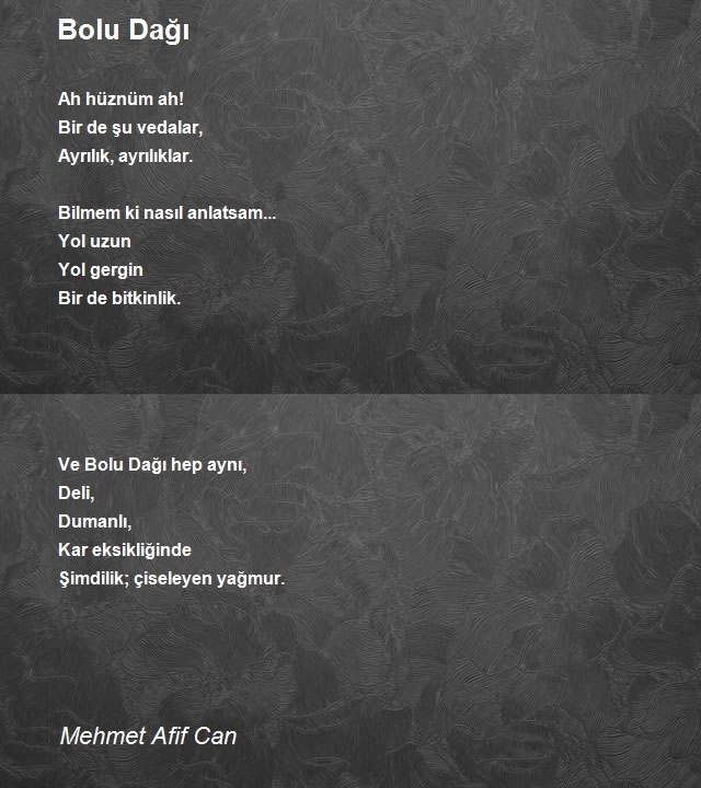 Mehmet Afif Can