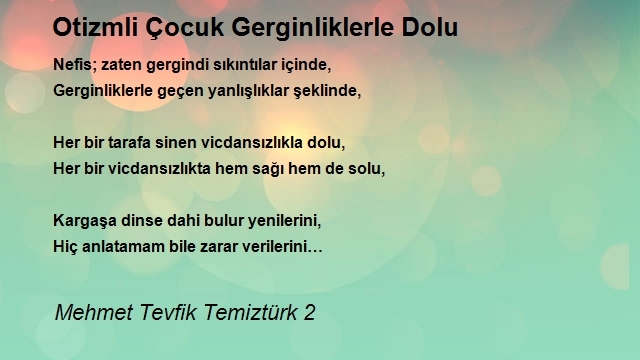 Mehmet Tevfik Temiztürk 2