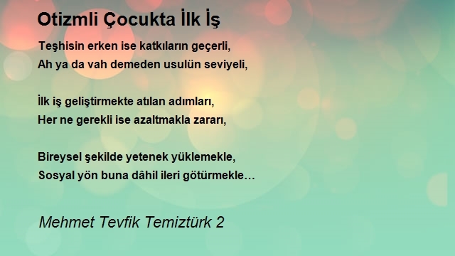 Mehmet Tevfik Temiztürk 2