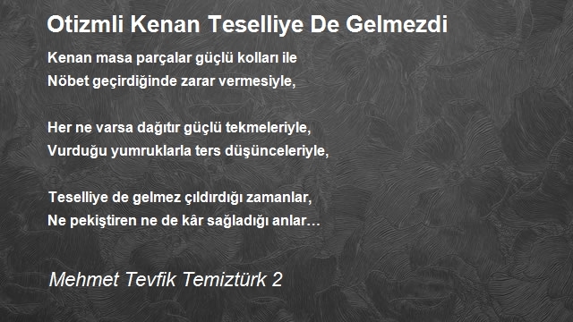 Mehmet Tevfik Temiztürk 2