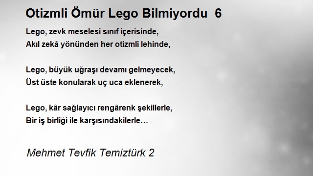 Mehmet Tevfik Temiztürk 2