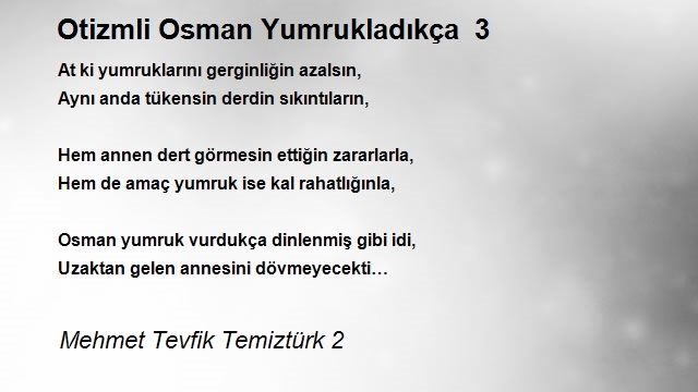 Mehmet Tevfik Temiztürk 2