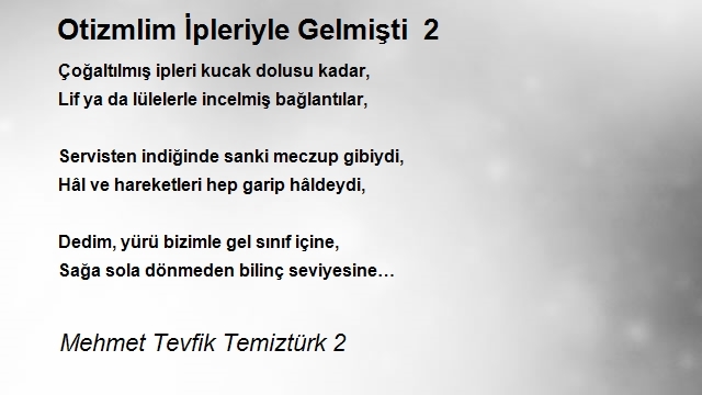 Mehmet Tevfik Temiztürk 2