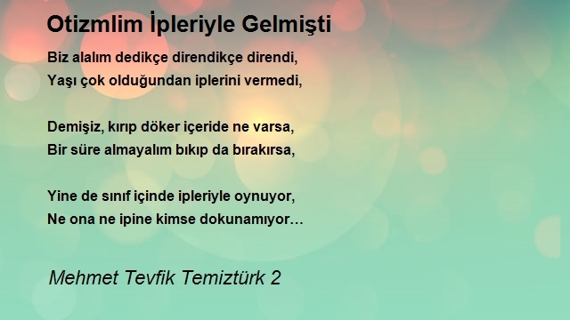 Mehmet Tevfik Temiztürk 2