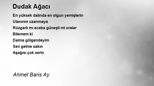 Ahmet Baris Ay