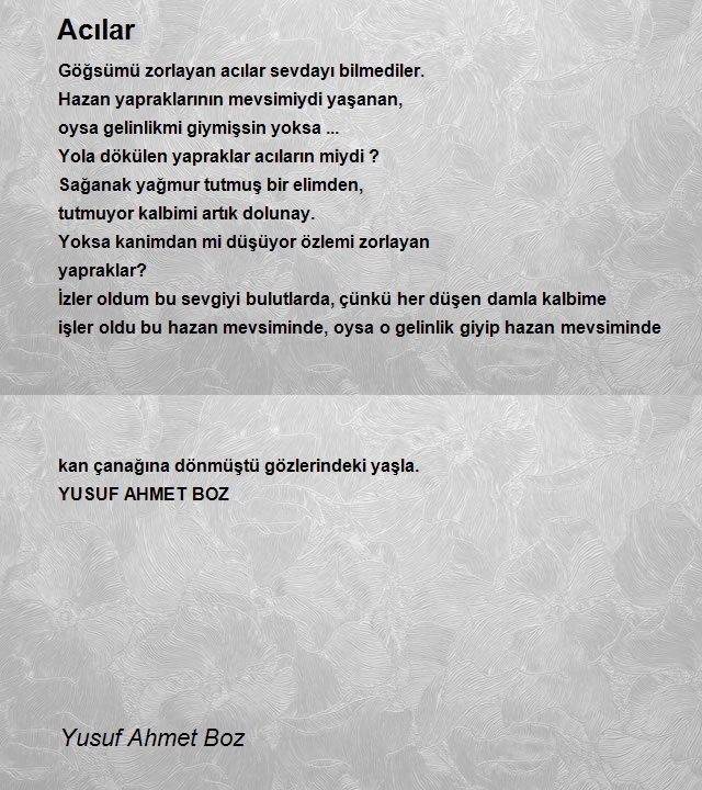 Yusuf Ahmet Boz