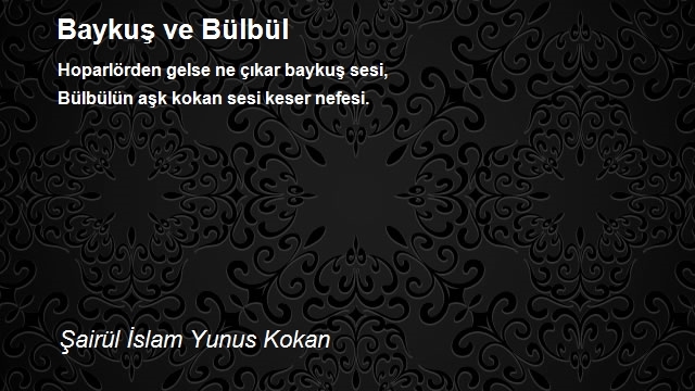 Şairül İslam Yunus Kokan