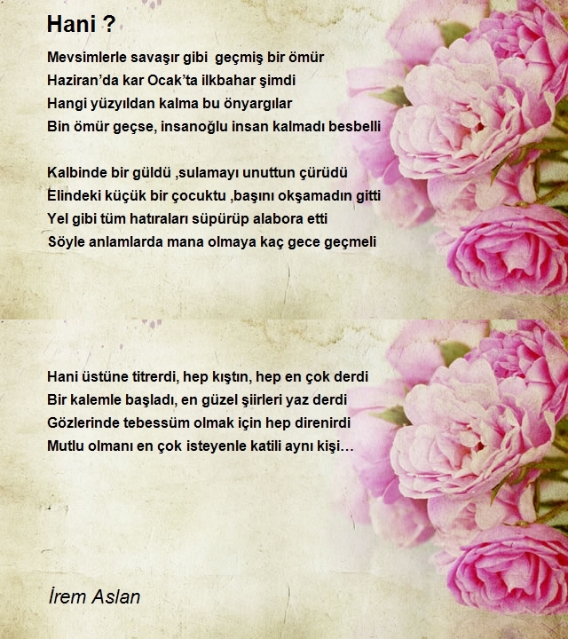 İrem Aslan