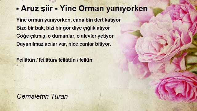 Cemalettin Turan