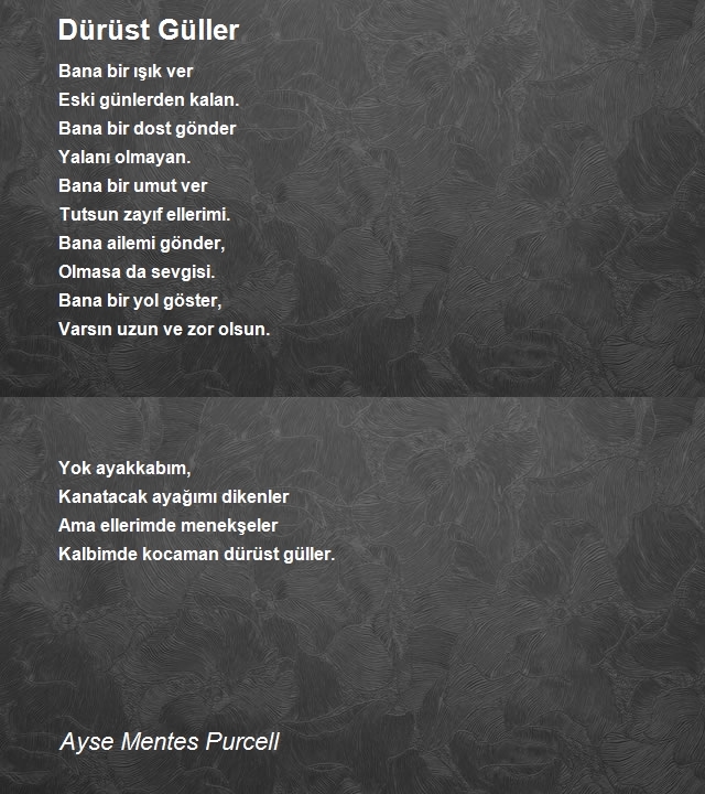 Ayse Mentes Purcell