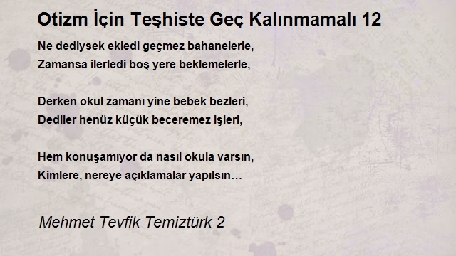 Mehmet Tevfik Temiztürk 2