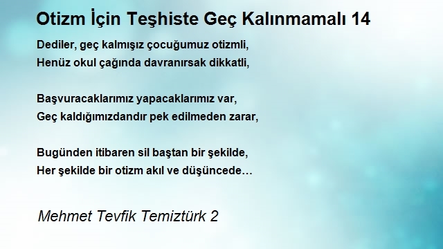 Mehmet Tevfik Temiztürk 2