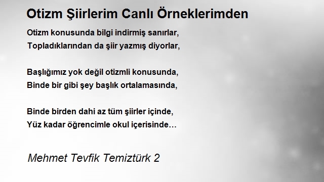 Mehmet Tevfik Temiztürk 2