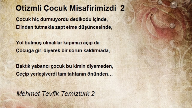 Mehmet Tevfik Temiztürk 2