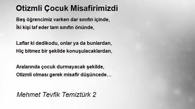 Mehmet Tevfik Temiztürk 2