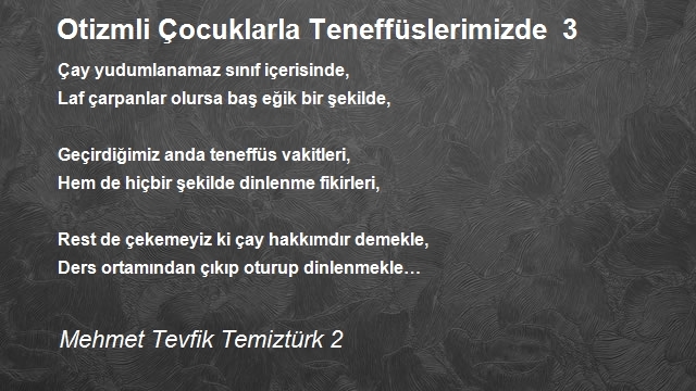 Mehmet Tevfik Temiztürk 2