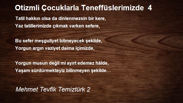 Mehmet Tevfik Temiztürk 2