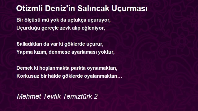 Mehmet Tevfik Temiztürk 2