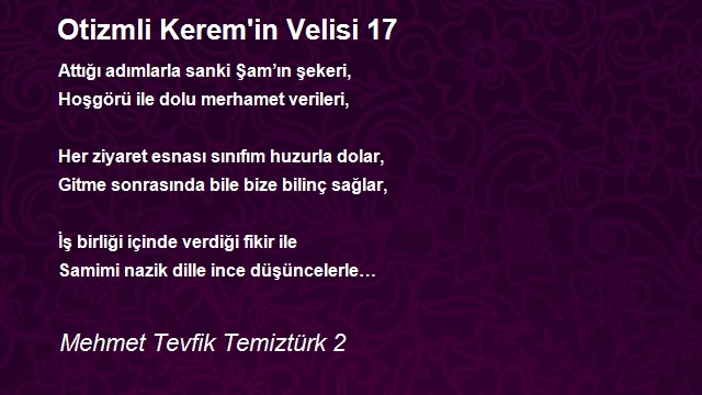 Mehmet Tevfik Temiztürk 2