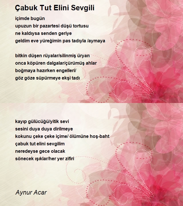 Aynur Acar