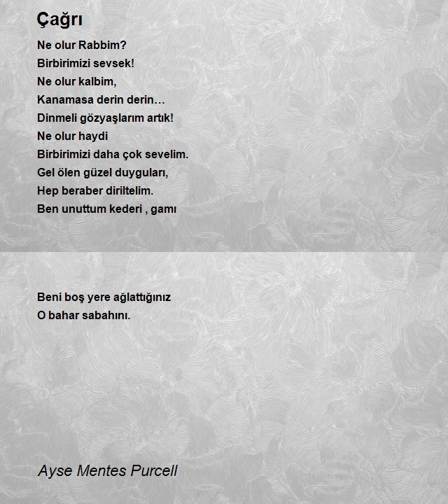 Ayse Mentes Purcell