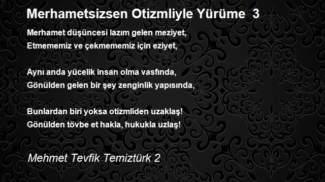 Mehmet Tevfik Temiztürk 2